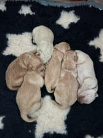 /album/fotogalerie/img-7951-2-jpeg/